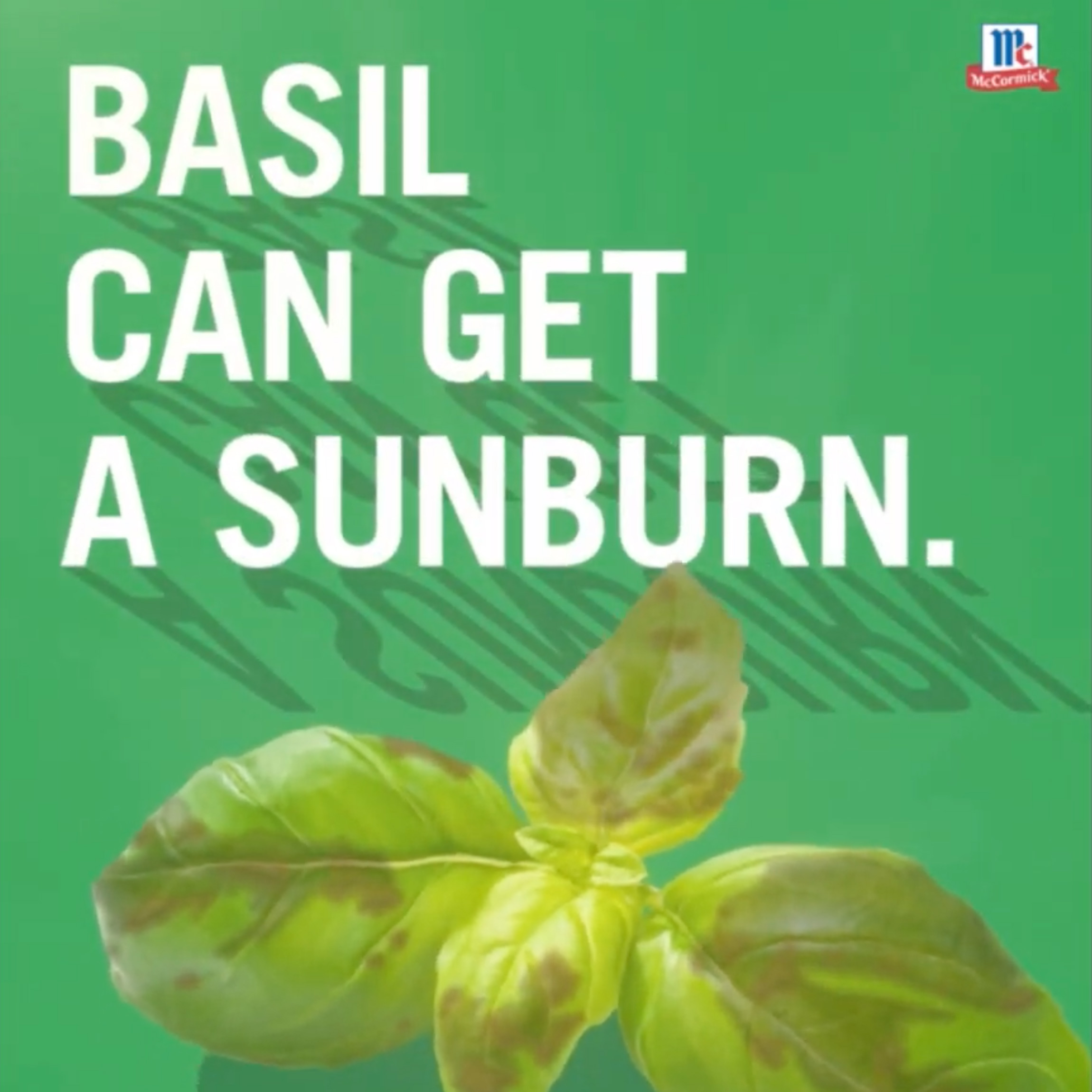 McCormick Basil Video project artwork